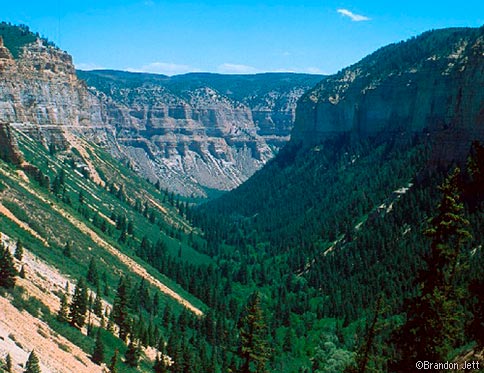 Roan Plateau