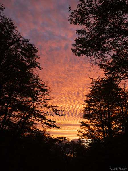 Sunset in the Lenga forest, Chile