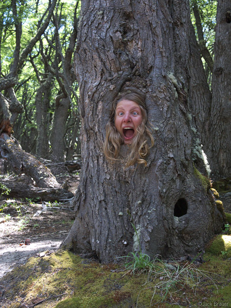 Claudia stuck in a tree Claudia stuck in a tree