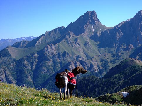 Pigeon Peak