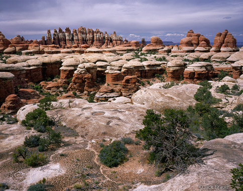 canyon elephant needles canyonlands district