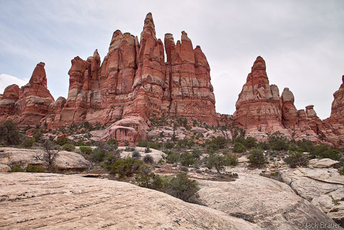 Canyonlands Needles District