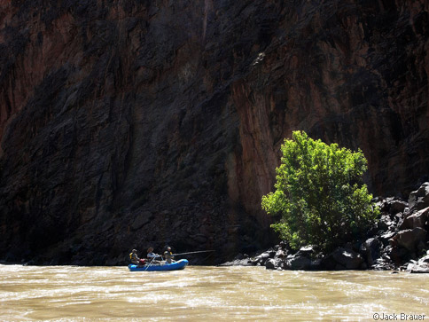 Gunnison Gorge