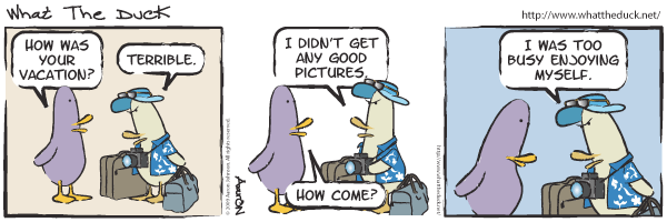 WTD738 WTD738