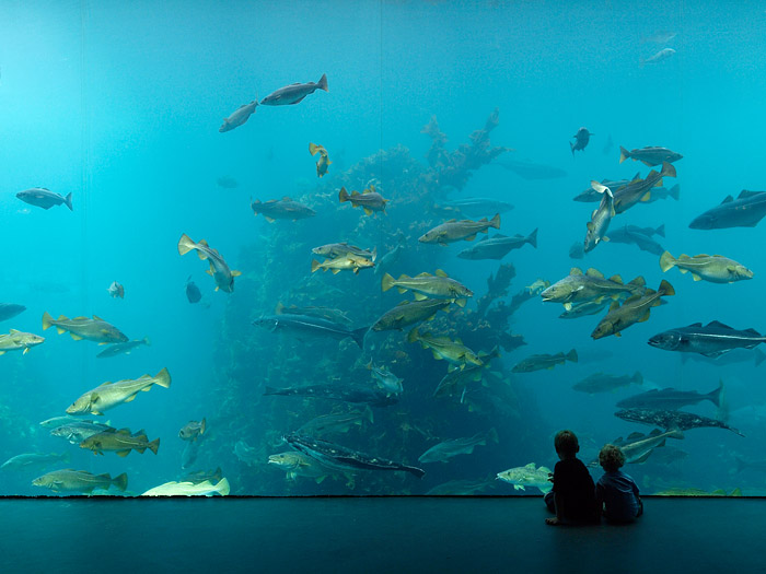 Aquarium in Ålesund