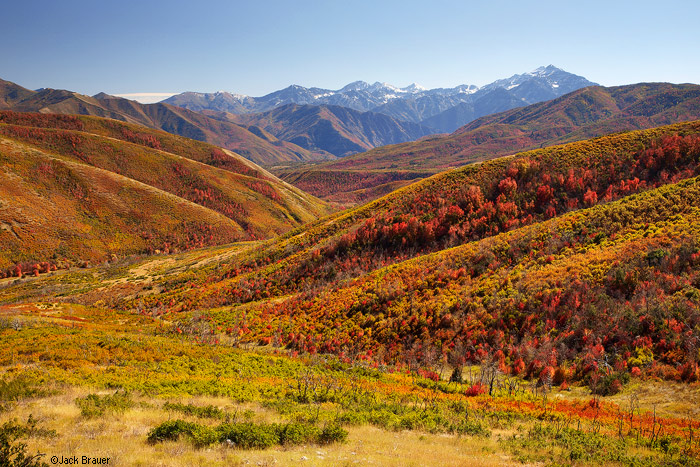 Autumn colors in the Wasatch Range, Utah