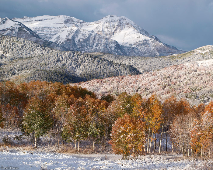 Mount Timpanogos with fresh snow