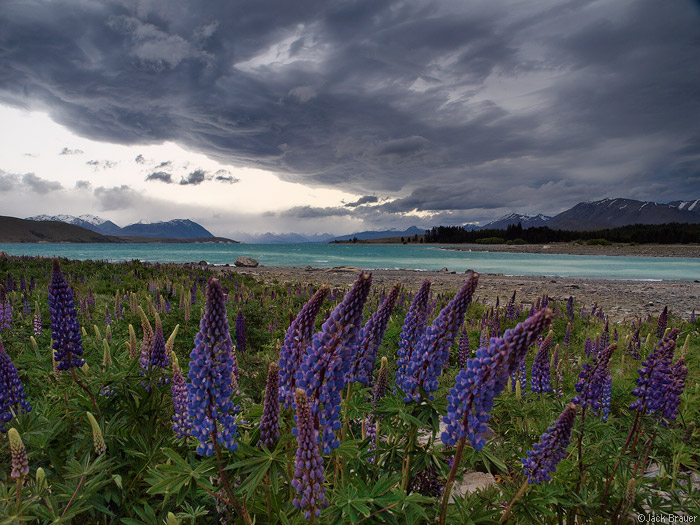 Lake Tekapo, New Zealand