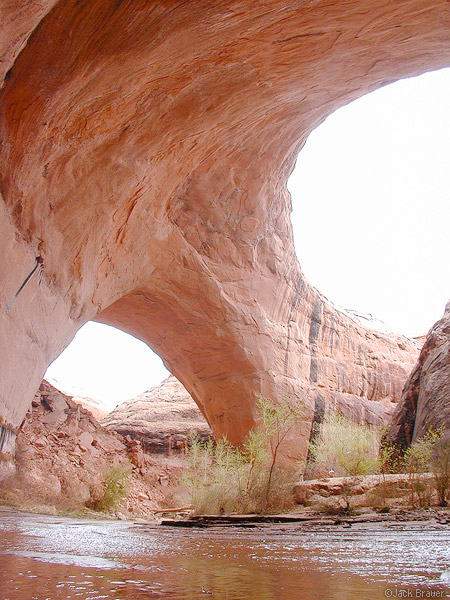 Coyote Gulch Arch, Escalante