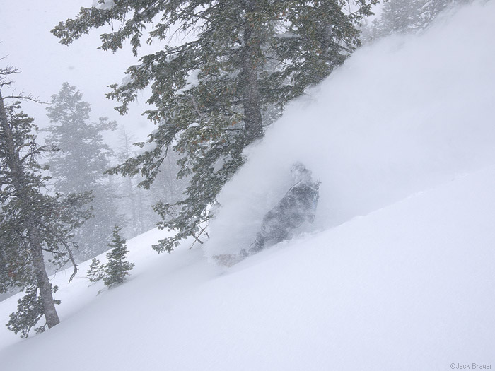 Powder Faceshot