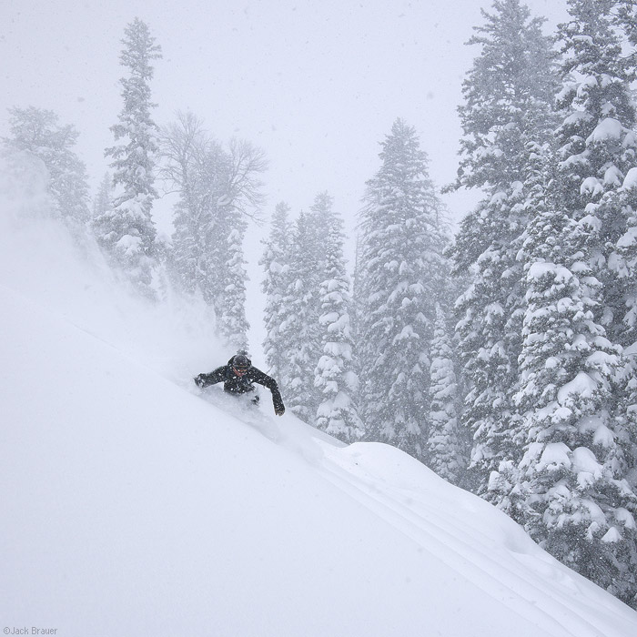 Waist deep powder