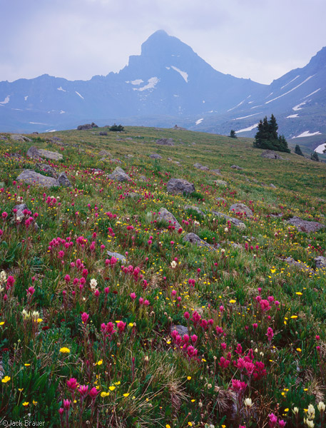 Wetterhorn Peak, Colorado