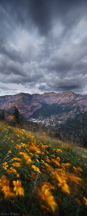 Ouray, flowers, and clouds