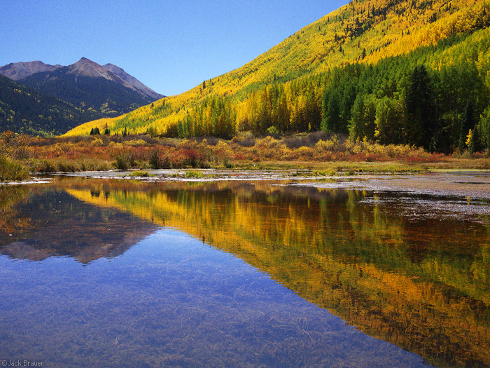 Aspen reflection near Red Mountain Pass, Colorado