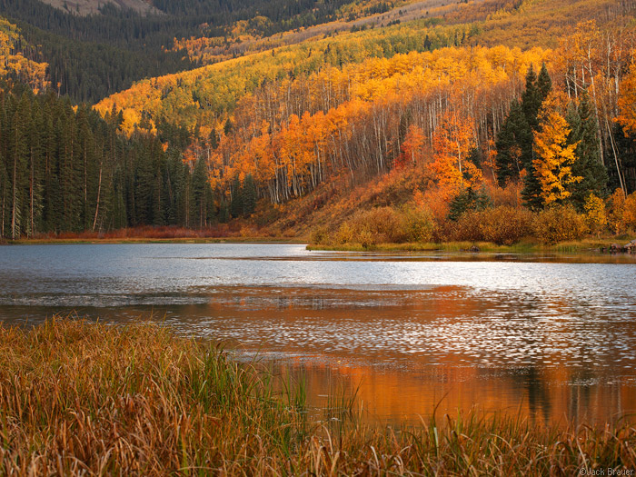 orange aspens at Woods Lake, Colorado