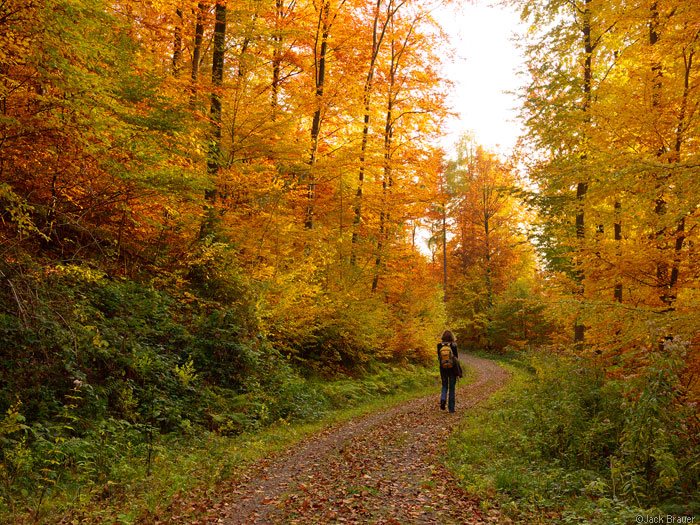 Autumn colors in Freiburg, Germany