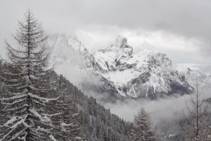 Cima della Madonna, San Martino, Dolomites, Italy