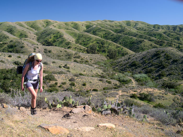 Trans Catalina Trail