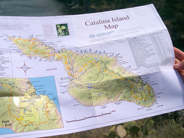 Trans Catalina Trail map