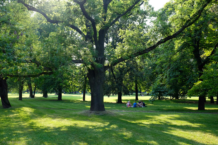 Park in Prague