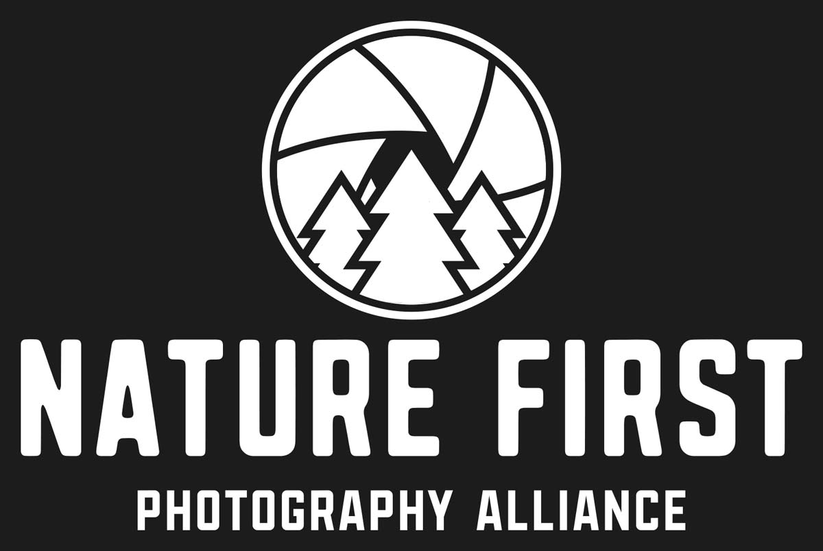 Nature First Nature First! – Mountain Photographer : a journal by Jack Brauer